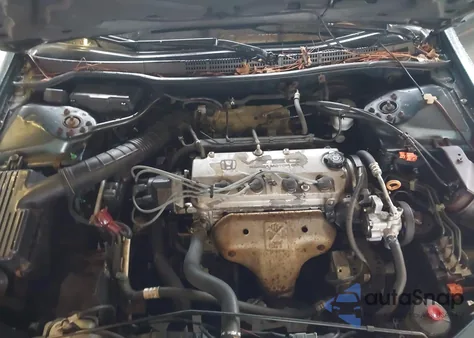 1998 Honda Accord Ex z USA, uszkodzony, nr VIN 1HGCG5654WA219265